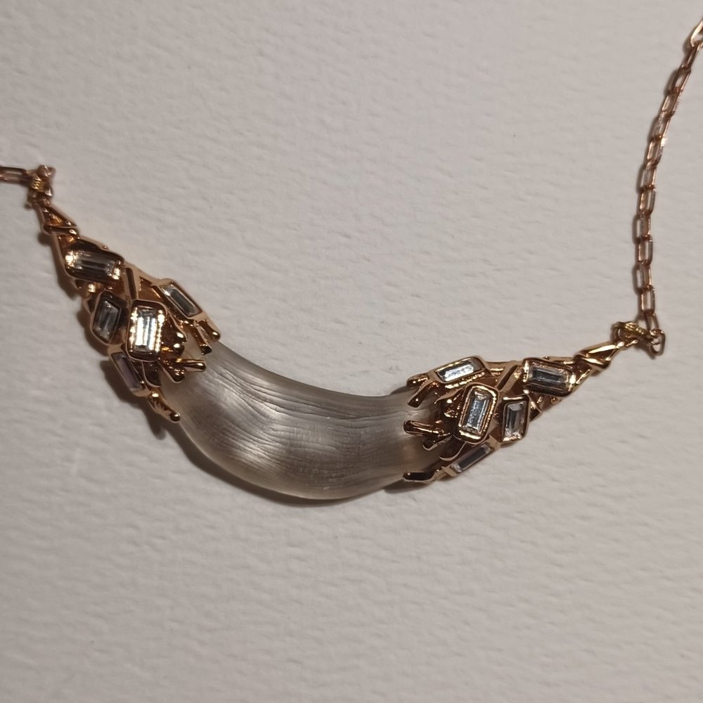 Alexis Bittar!